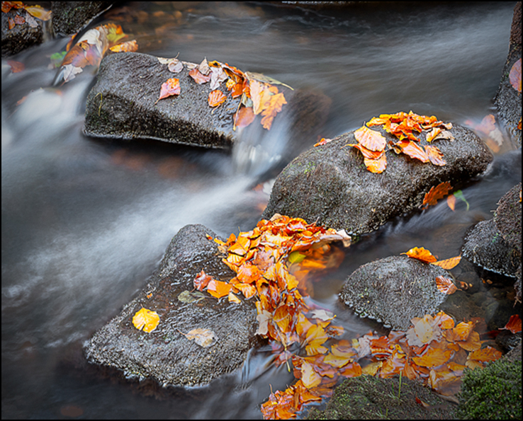 PG No 6 - Bottom Right.jpg